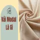 vai-modal-la-vai-gi